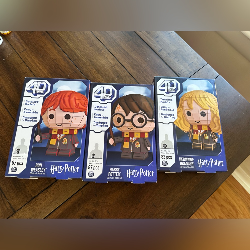 4D Ron, Hermione, and Harry Potter puzzles